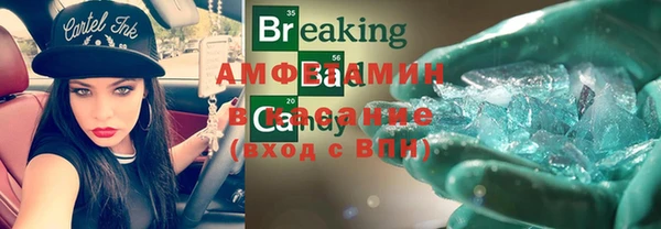сатива Новодвинск