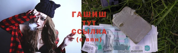 стаф Новокубанск