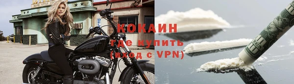 стаф Новокубанск