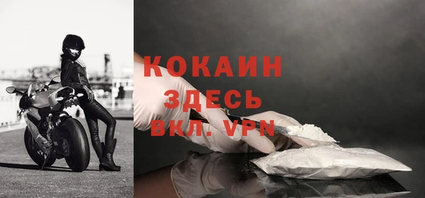 стаф Новокубанск