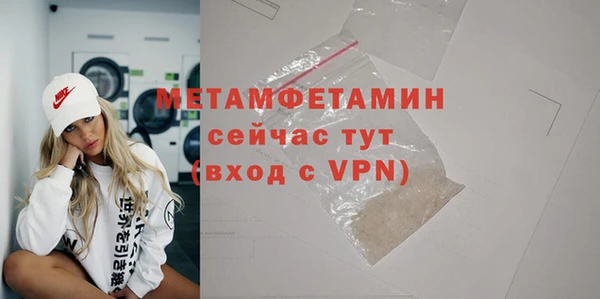 сатива Новодвинск