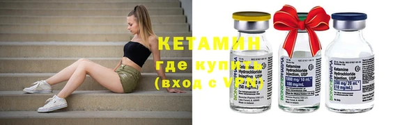 сатива Новодвинск