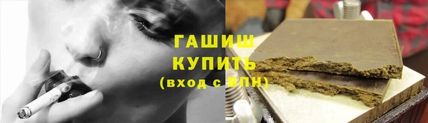 сатива Новодвинск