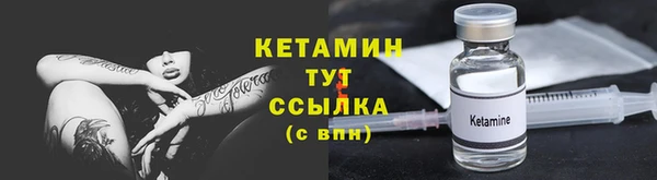 сатива Новодвинск