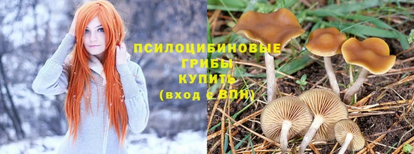 кокаин премиум Новозыбков