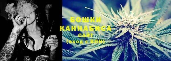 сатива Новодвинск