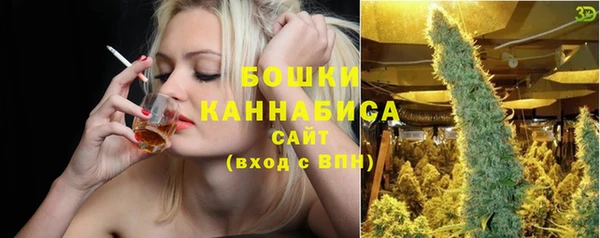 стаф Новокубанск