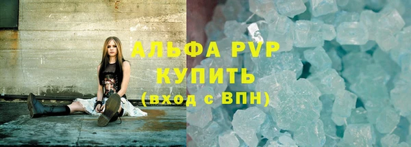 стаф Новокубанск