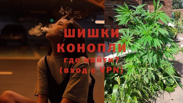 стаф Новокубанск